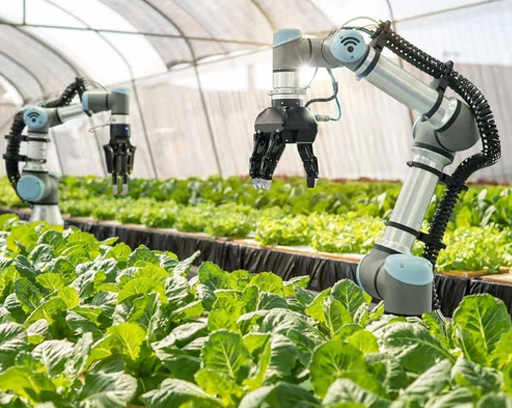 Agriculture Industry